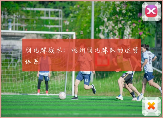 羽毛球战术：杭州羽毛球队的运营体系