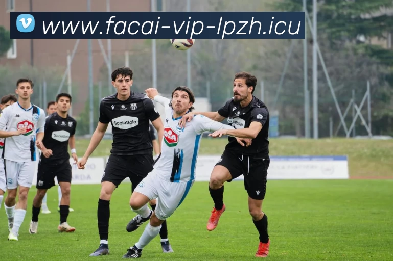 乐鱼体育品牌故事