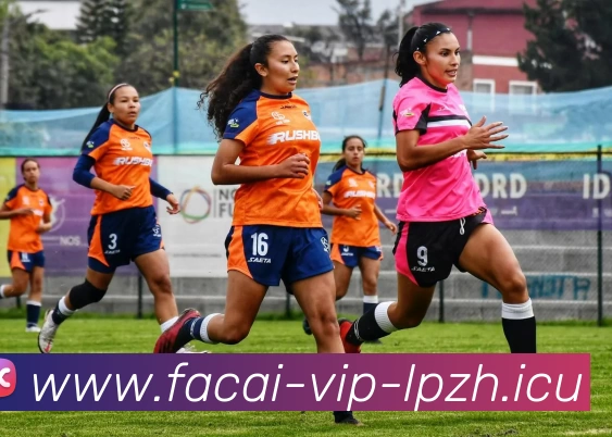 乐鱼体育服务体系