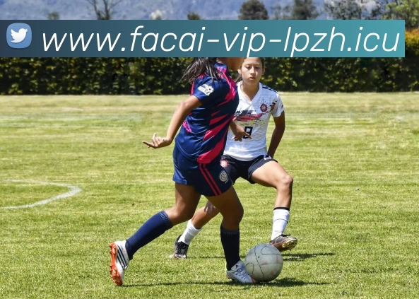 乐鱼体育注册APP 体育赛事宣传图